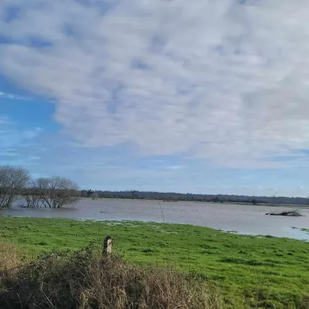 Jardin St Jean De Daye Lejlighed Saint-Jean-de-Daye
