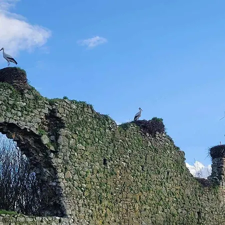 Апартаменты Jardin St Jean De Daye *