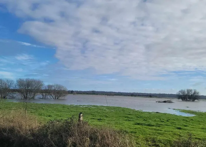 Jardin St Jean De Daye Апартаменты Saint-Jean-de-Daye