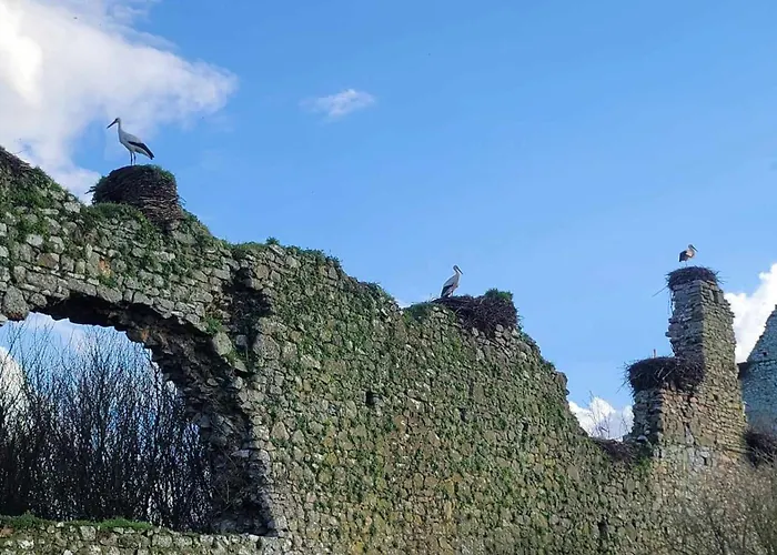 Lejlighed Jardin St Jean De Daye *